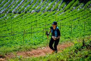 BIB: 
                            <button type="button" onclick="openModal(19164572)" class="btn btn-primary btn-sm float-right btn-popup" data-toggle="modal" data-target=".modal-high-quality">
                        <i class="fas fa-shopping-cart"></i> Add to Cart
                    </button>
                                            <button type="button" onclick="isThisMe(19164572, true)" class="btn btn-success btn-sm float-right btn-popup btn-isme hidden" data-toggle="tooltip" data-placement="bottom" title="นี่คือรูปของคุณใช่ไหม คลิกที่นี่เพื่อเอาเข้าอัลบั้ม">
                        <i class="fas fa-plus"></i> Add to album
                    </button>
                    <button type="button" onclick="isThisMe(19164572, false)" class="btn btn-warning btn-sm float-right btn-popup btn-isnotme hidden">
                        <i class="fas fa-ban"></i> Remove from album
                    </button>